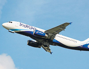 Indigo Web Check In | Air Travel